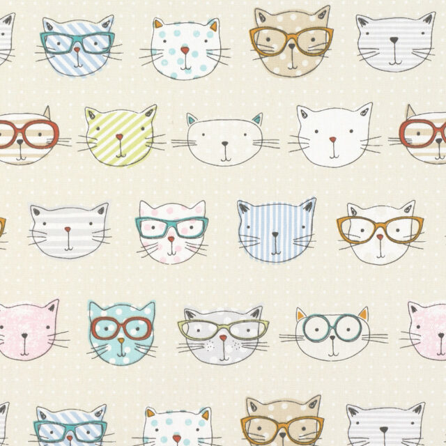 crazy_cats