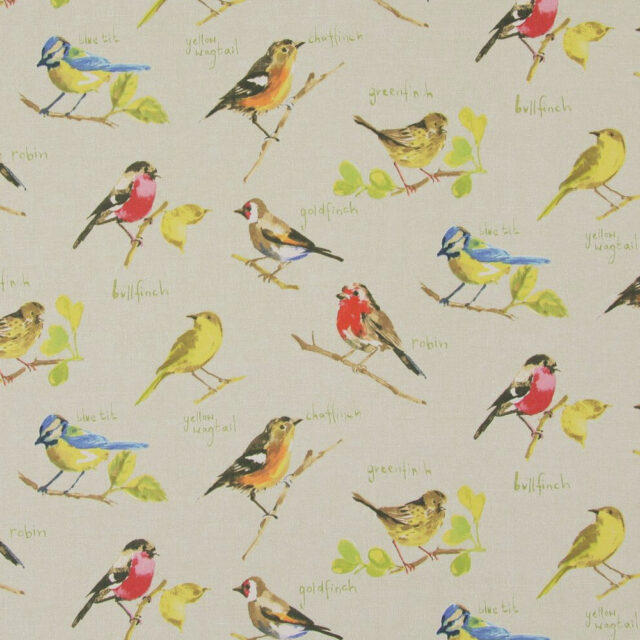 garden_birds