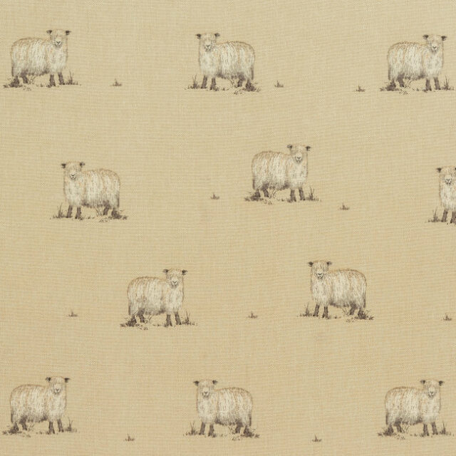 sandringham sheep