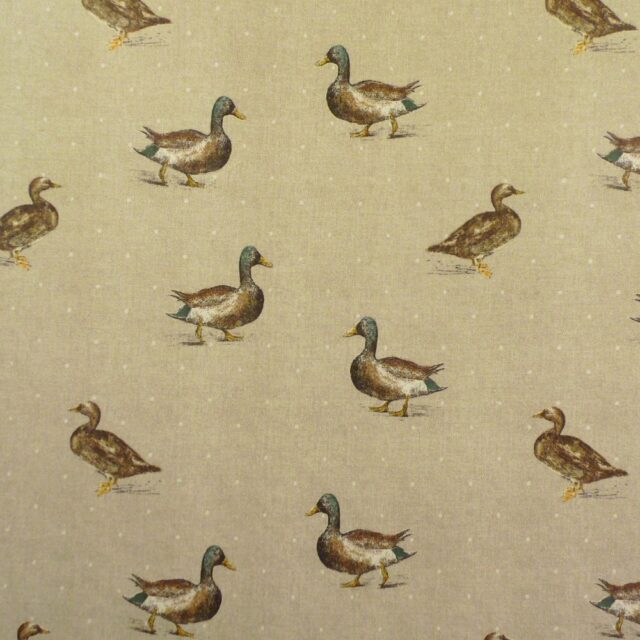 sandringham_duck