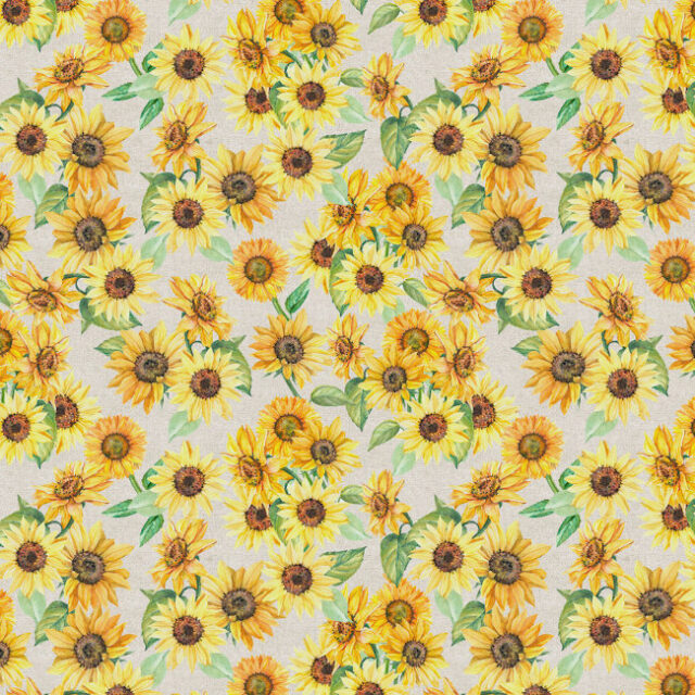 sunflowers