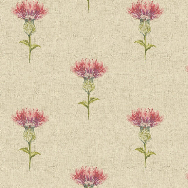 thistle